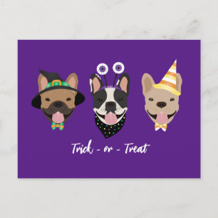 French Bulldog Halloween Costumes Postcard