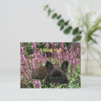 French Bulldog Heart French Bulldog