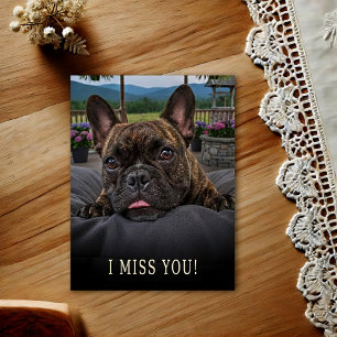 French Bulldog I Miss You Postcard