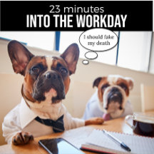 French Bulldog I Should Fake My Death T Shirt