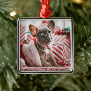 French Bulldog in Christmas Hat Metal Ornament