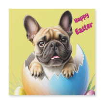 French Bulldog in egg Happy Easter