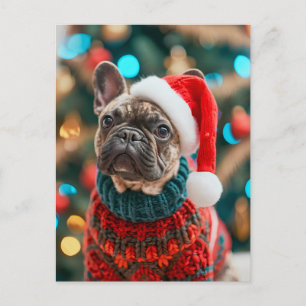 French Bulldog in Knitted Dog Attire Holiday Postcard