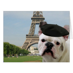 French Bulldog in Paris