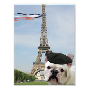 French bulldog in Paris Photo Print
