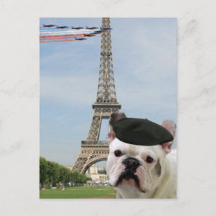 French Bulldog in Paris postcard