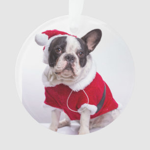 French Bulldog In Santa Costume For Christmas Ornament