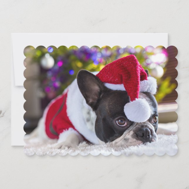 French Bulldog In Santa Hat Under Christmas Tree Holiday Card (Front)