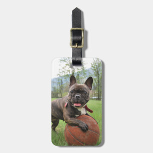 French Bulldog Insert Your Own Photo Luggage Tag