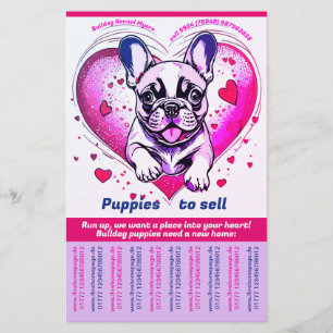 French Bulldog into your home Flyer