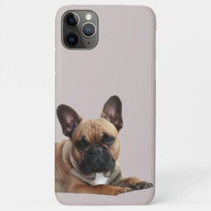 French bulldog iPhone 11 Pro Max shell iPhone 11 Pro Max Case