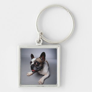 French Bulldog Key Ring