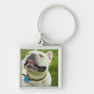 French Bulldog Key Ring