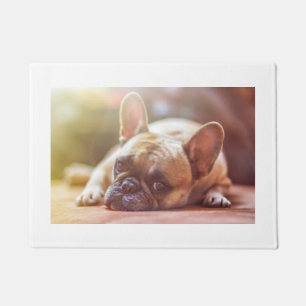french bulldog laying doormat