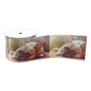 french bulldog laying grosgrain ribbon