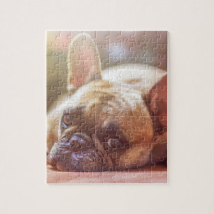 french bulldog laying jigsaw puzzle
