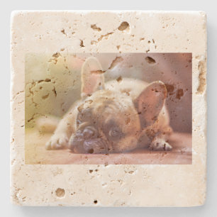 french bulldog laying stone coaster