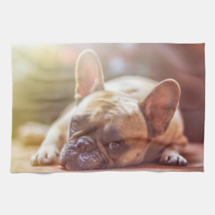 french bulldog laying tea towel