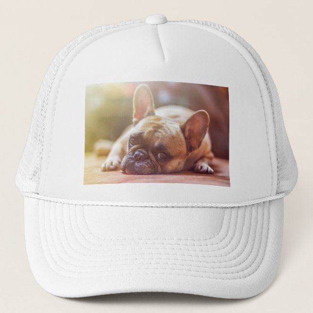 french bulldog laying trucker hat (Front)