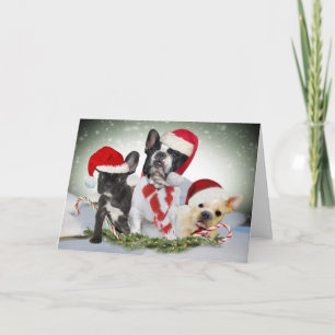 French Bulldog Let It Snow Cards