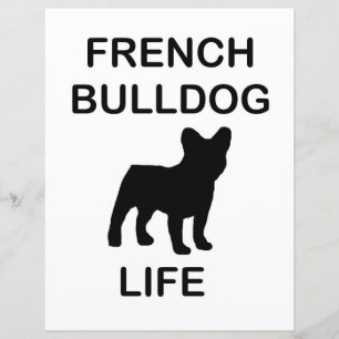 french bulldog life
