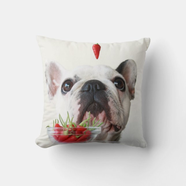 French Bulldog Looking At A Red Pepper Cushion (Front)