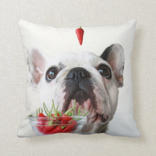 French Bulldog Looking At A Red Pepper Cushion