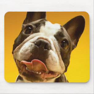 French Bulldog Looking Up Mouse Pad