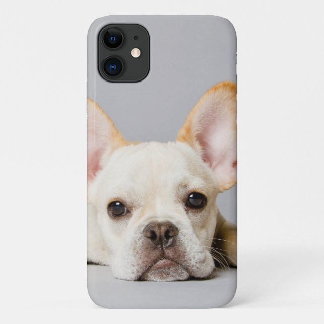 French Bulldog Lying Down Case-Mate iPhone Case (Back)