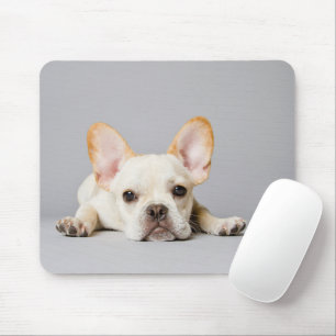 French Bulldog Lying Down Mouse Pad