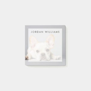 French Bulldog Lying Down Post-it Notes