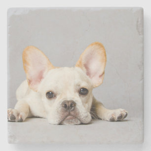 French Bulldog Lying Down Stone Coaster