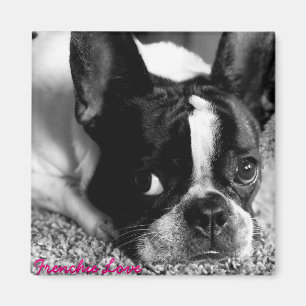 French Bulldog Magnet