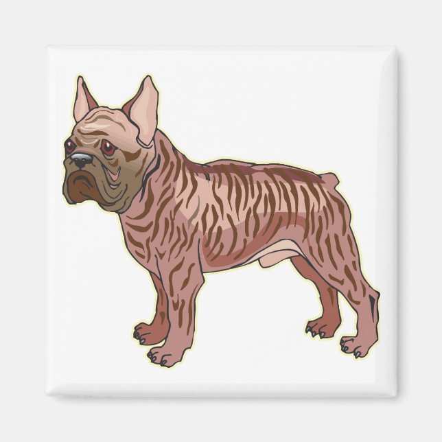 French Bulldog  Magnet (Front)