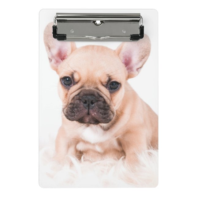 French Bulldog Mini Clipboard (Front)