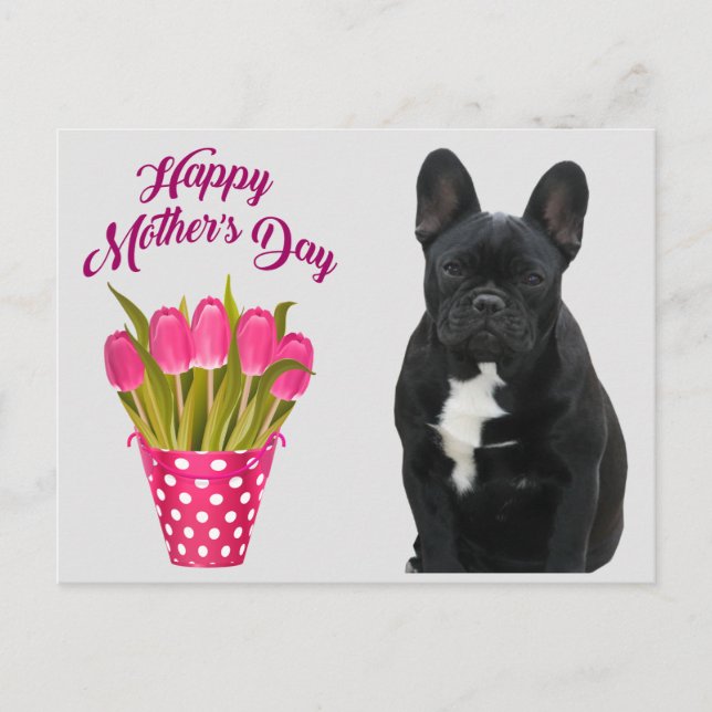 French Bulldog Mother's Day postcard (Front)