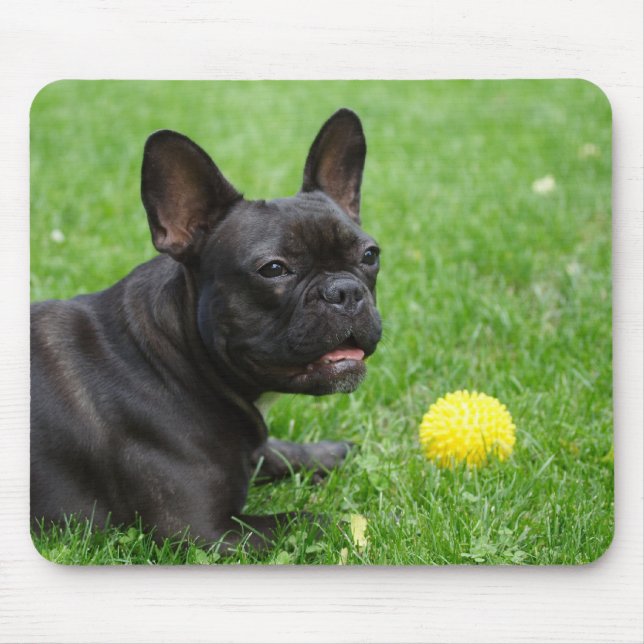 French Bulldog Mouse Pad (Front)
