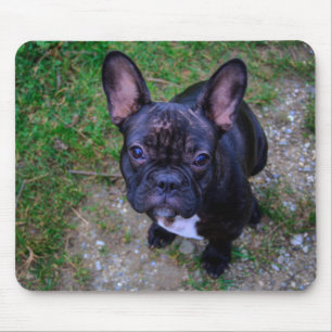French Bulldog Mouse Pad