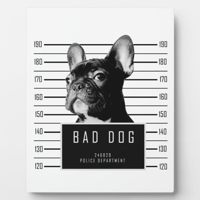 French Bulldog Mugshot Shirt Plaque (Front)