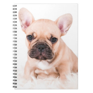 French Bulldog Notebook