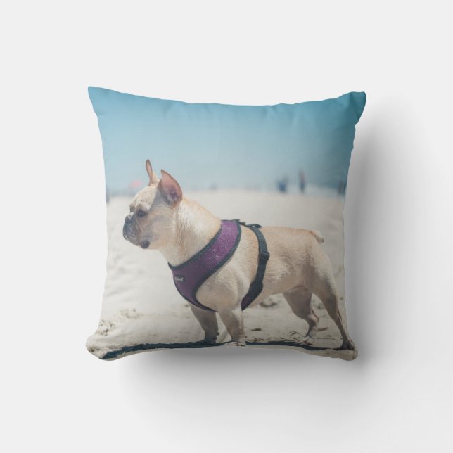 French Bulldog On Beach Cushion (Front)