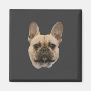 French Bulldog Photo Cute Face Picture Magnet