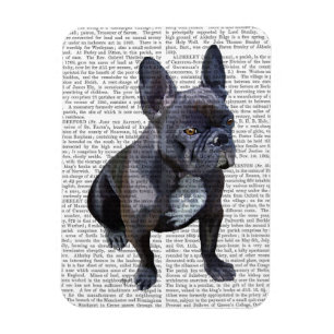 French Bulldog Plain Magnet