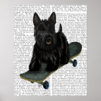 French Bulldog Plain