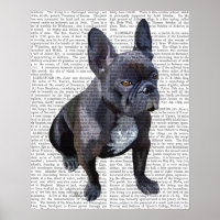 French Bulldog Plain