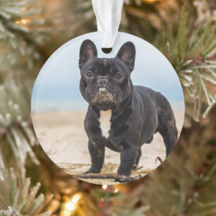 French Bulldog Playing in the Sand Ornament