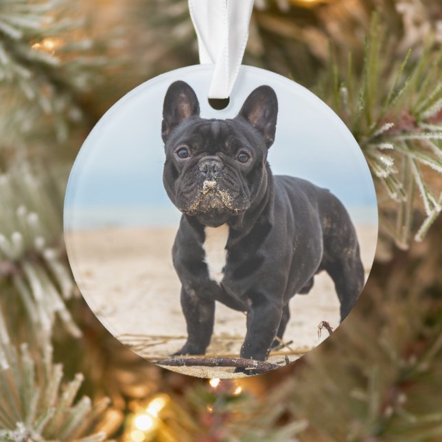 French Bulldog Playing in the Sand Ornament (Tree)