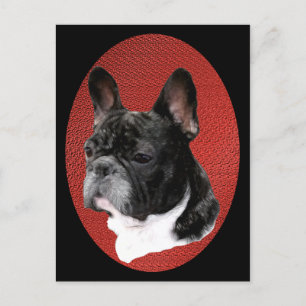 French Bulldog Portrait Postcard