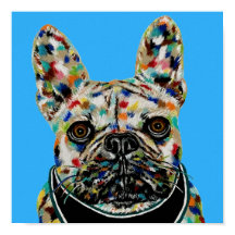 French Bulldog Portrait