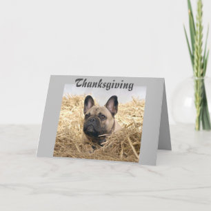 French Bulldog postcard